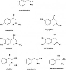 Similarities of Synephrine With Ephedrine and Other Compounds